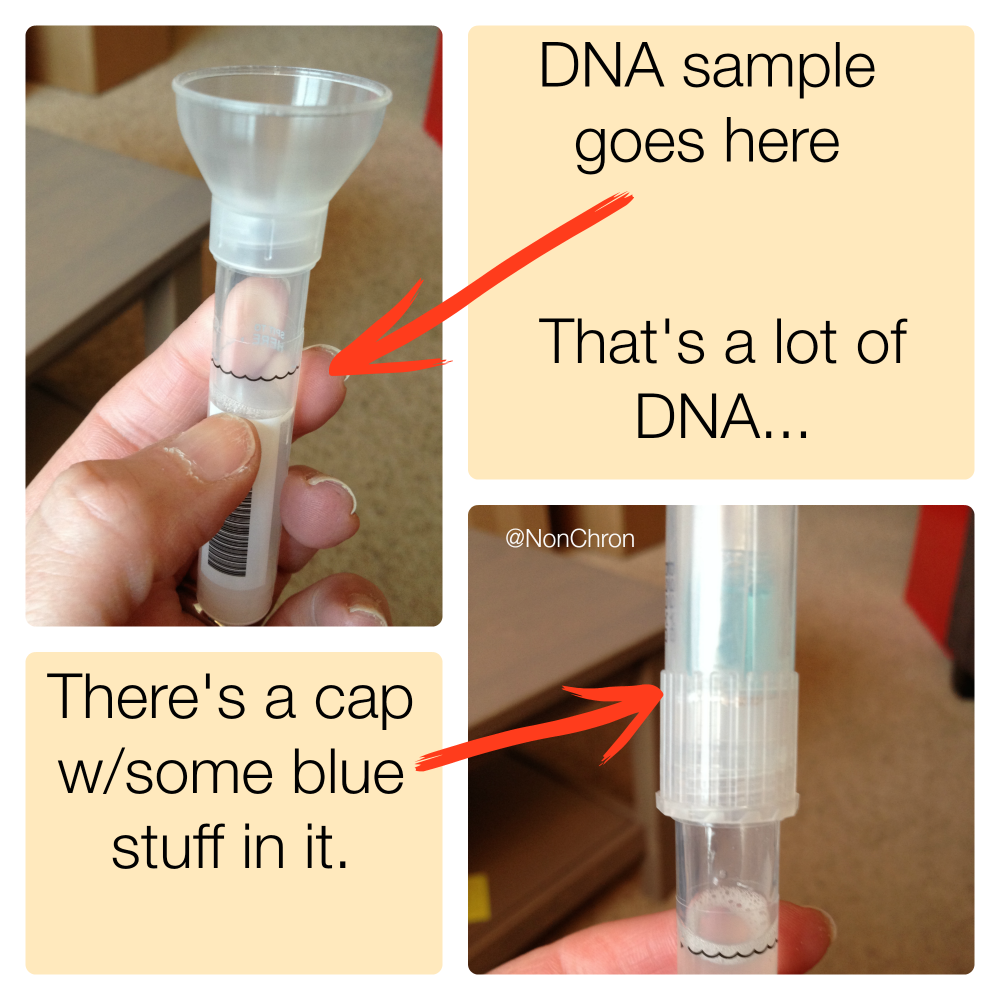 NonChron-DNA-Ancestry-Sample